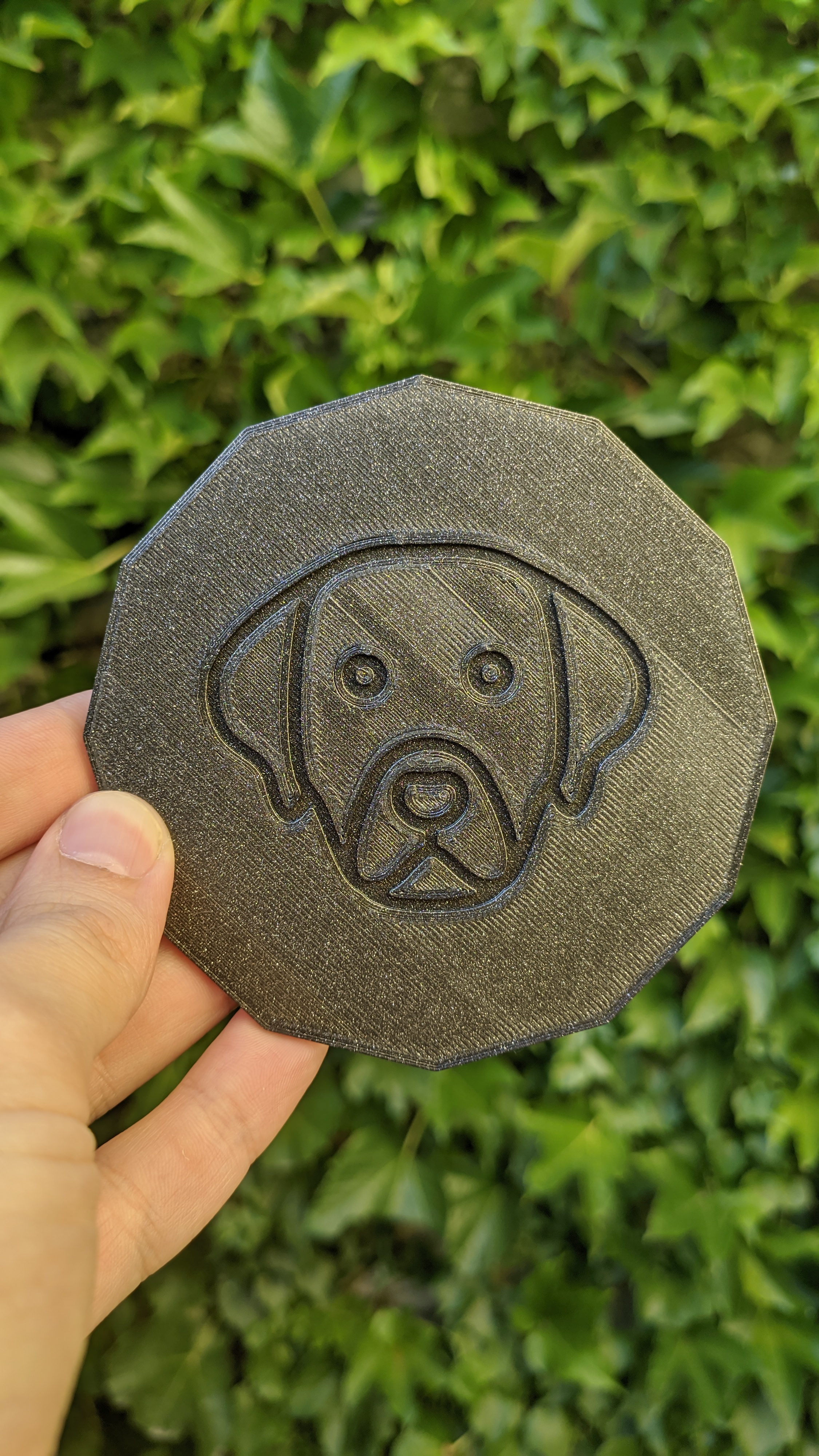 Labrador coaster