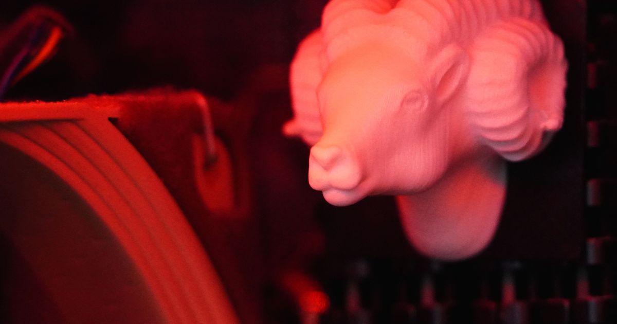 RAM for RAM by FuzzyRaptor | Download free STL model | Printables.com