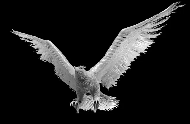 Phoenix in Flight