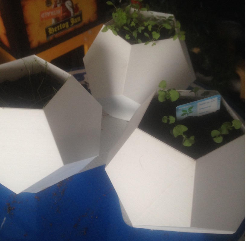 Miniatura 4 do modelo 3D Dodecahedron shell