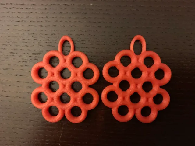 Torus Pattern Earrings