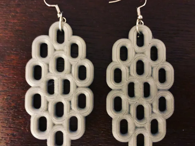 Smart Torus2 Earrings