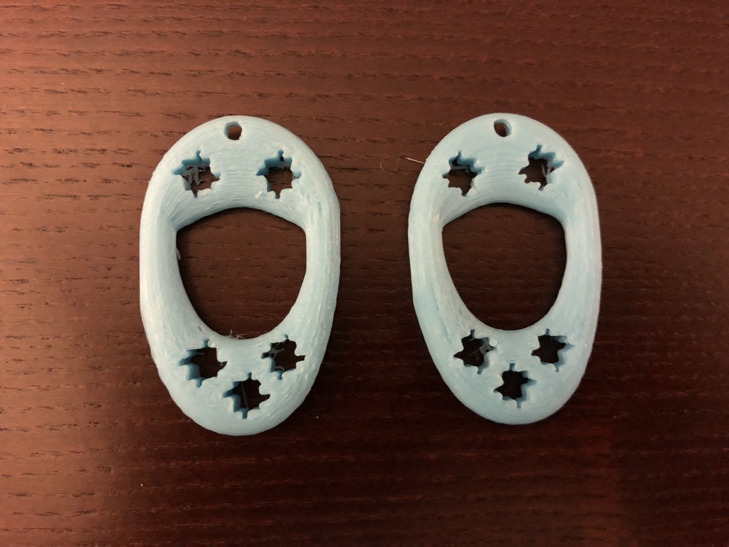 Torus Fractal Earrings