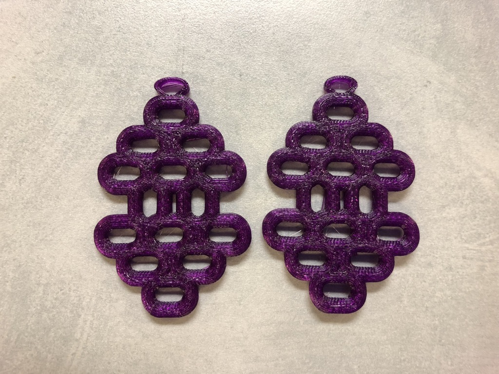 Smart Torus Earrings