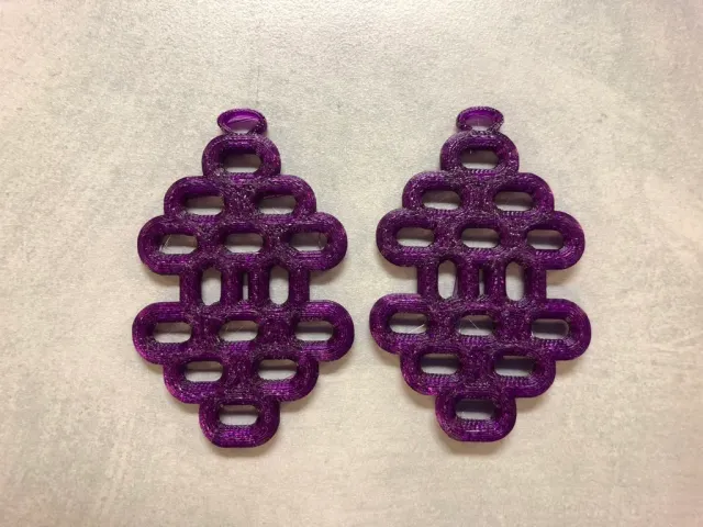 Smart Torus Earrings
