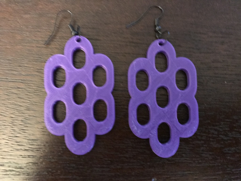 Capsule Hole Earrings