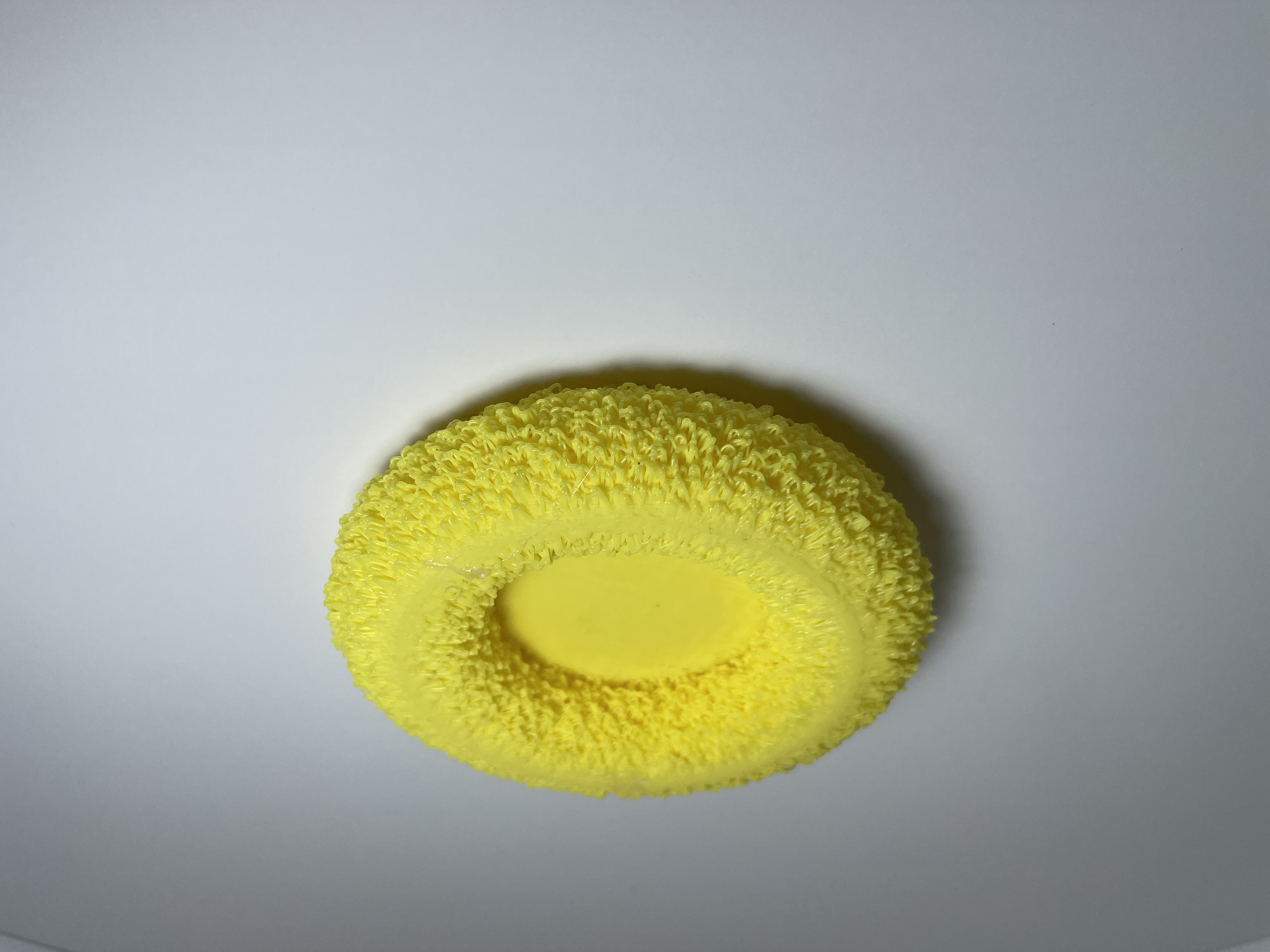 Simple Bird Nest With Fuzzy Skin