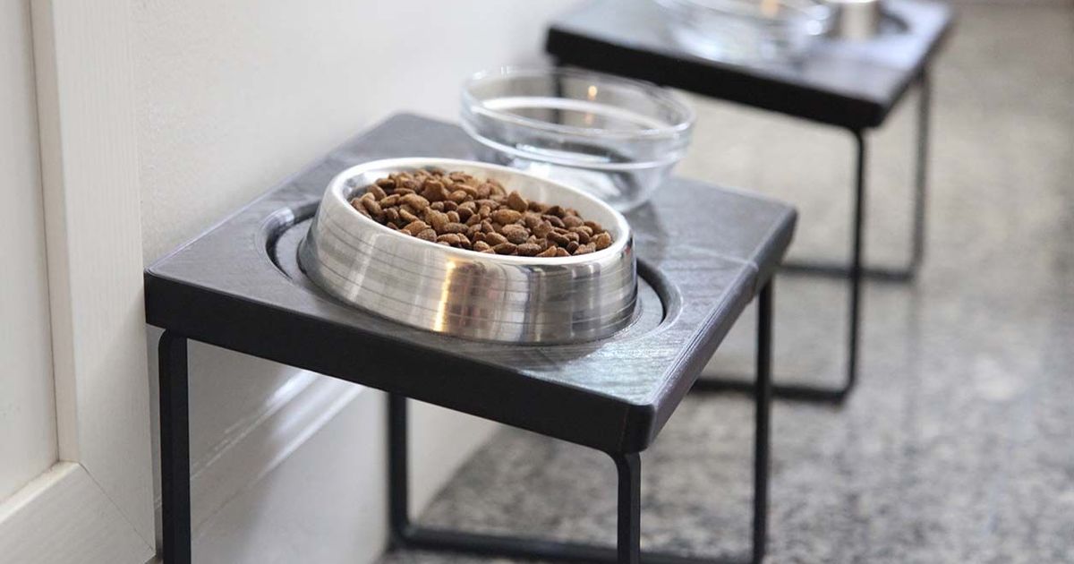 Cat Dish Stand by Josh Download free STL model