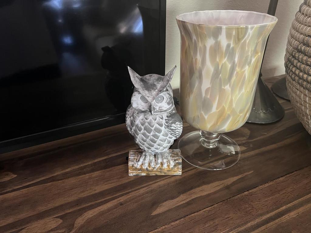 Owl Sensor by Kisssys Download free STL model