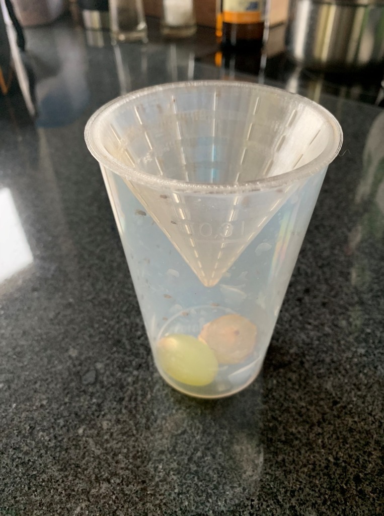 fruit fly trap / Fruchtfliegen fänger by 3D Crafts Download free STL