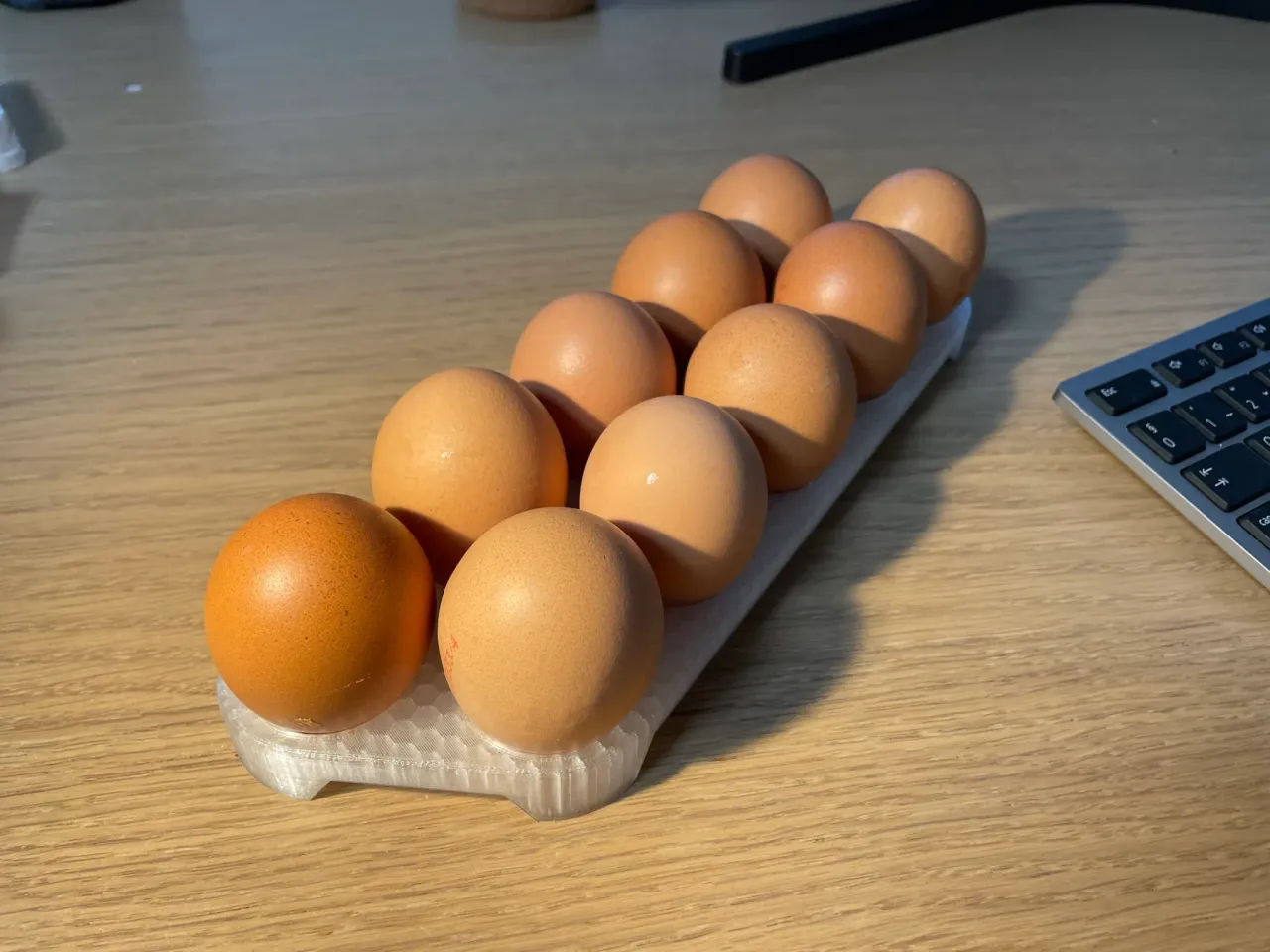 Egg Holder by Jake, Download free STL model