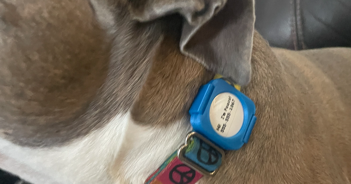 AirTag Holder for Dog Collars or Backpack Straps (F3D included) by