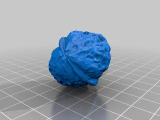 Walnut（scanned by Revopoint MINI）