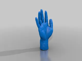 Hand Model（scanned by Revopoint MINI）