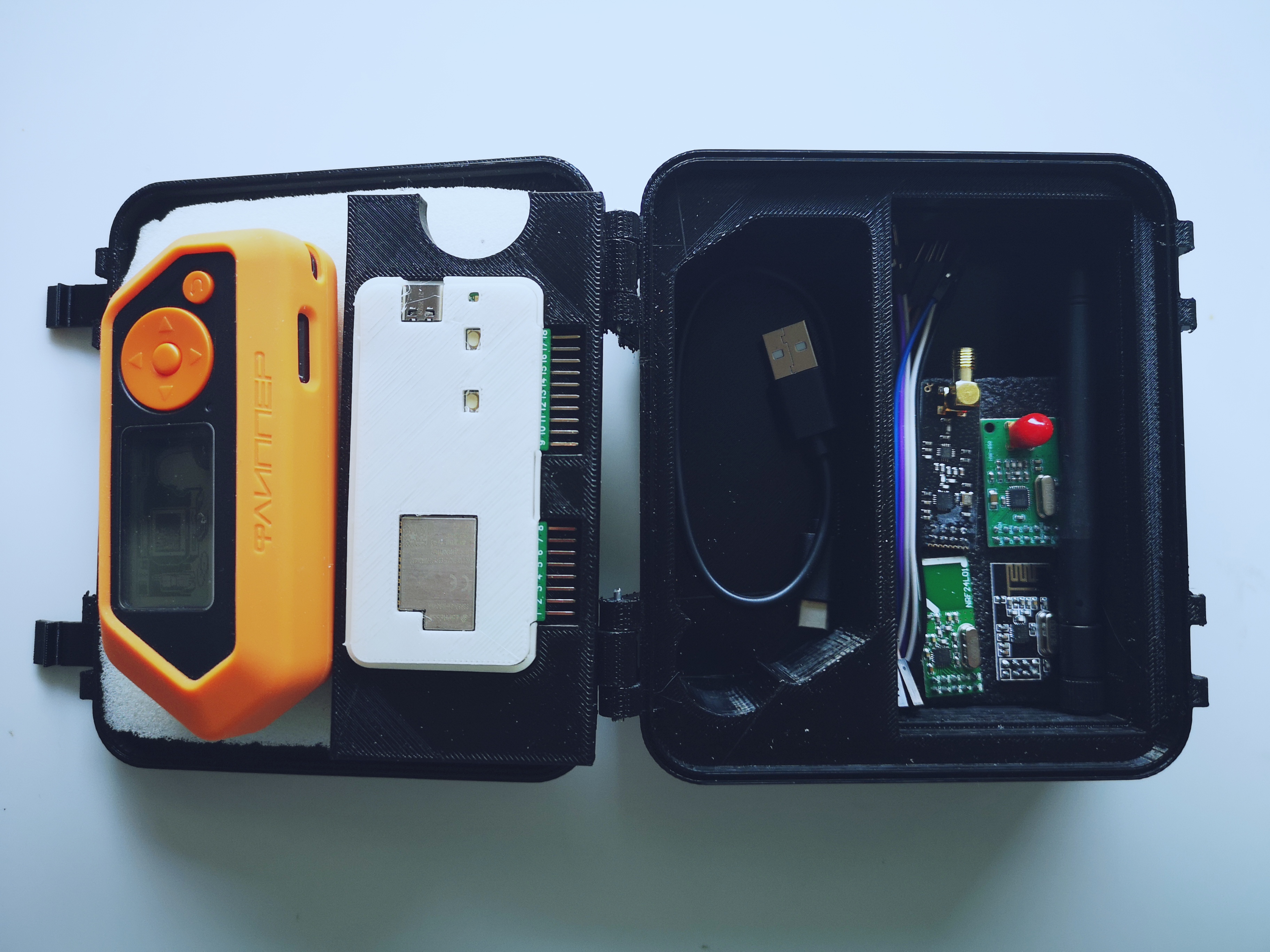 Flipper Zero and Devboard storage case