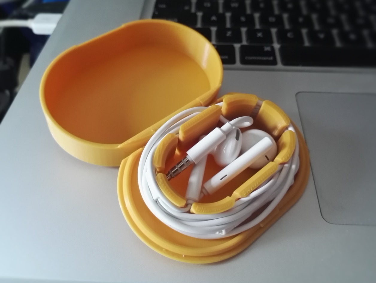 Hinged Case for Earphones (separate parts remix)