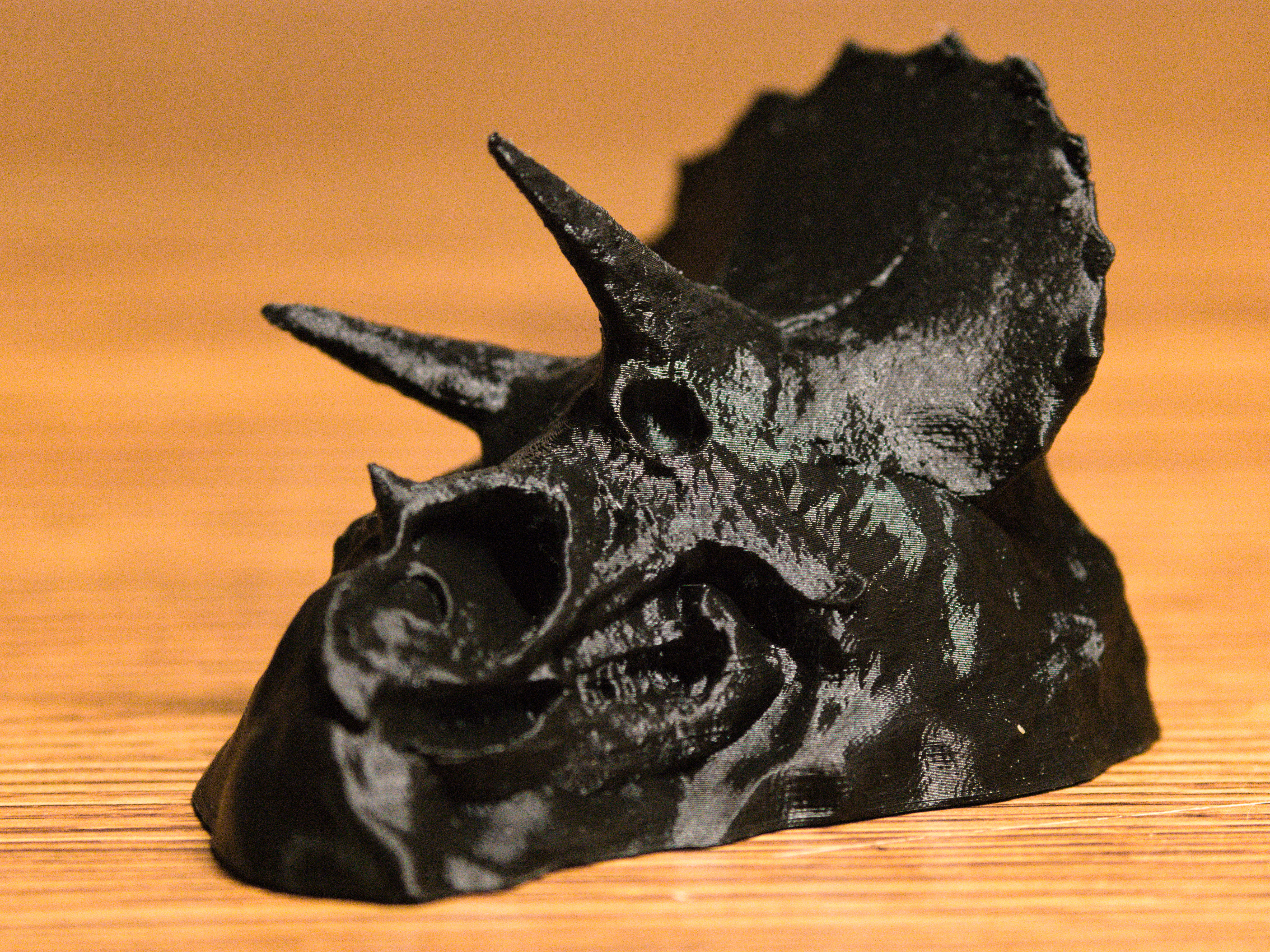 Triceratops Fossil 3D model thumbnail