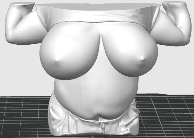 My Wifes 38G Boobs - Remake available!!
