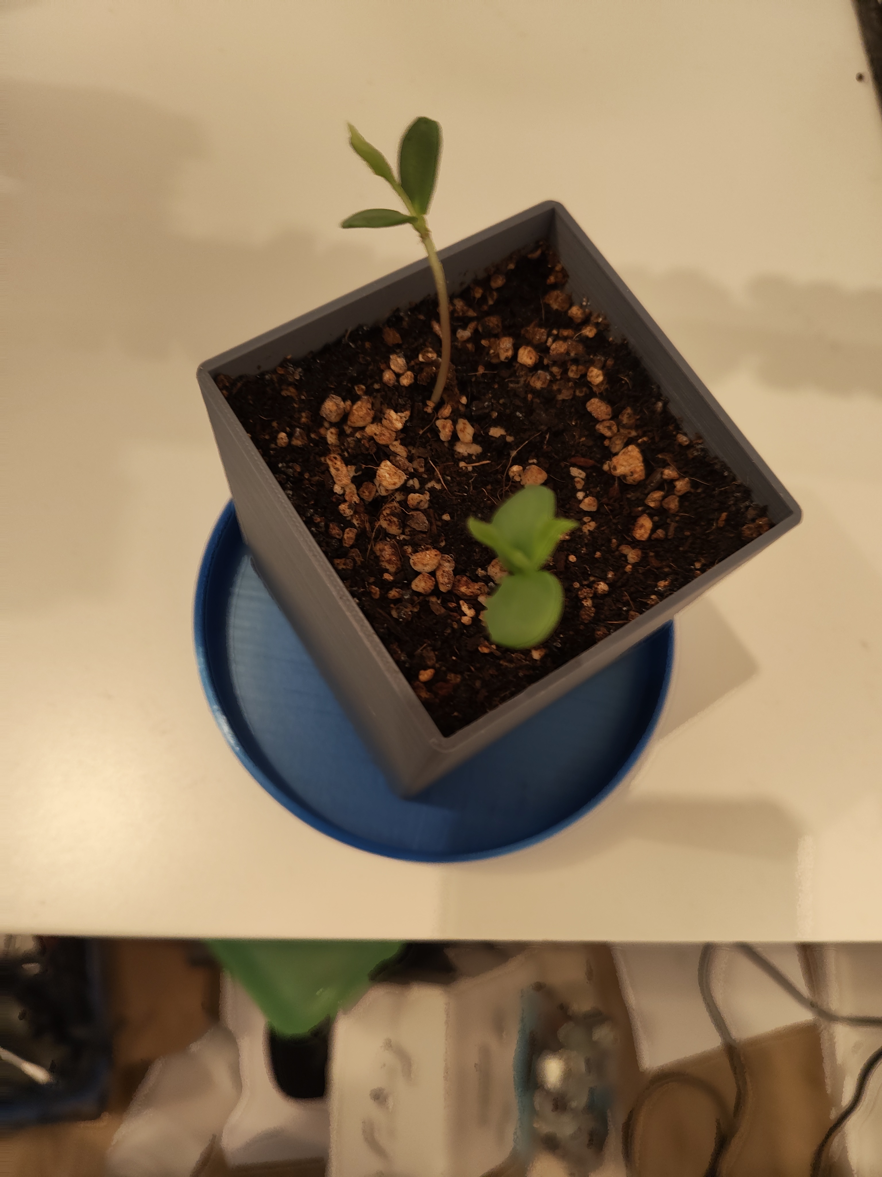 Blumentopf — miniatura 2