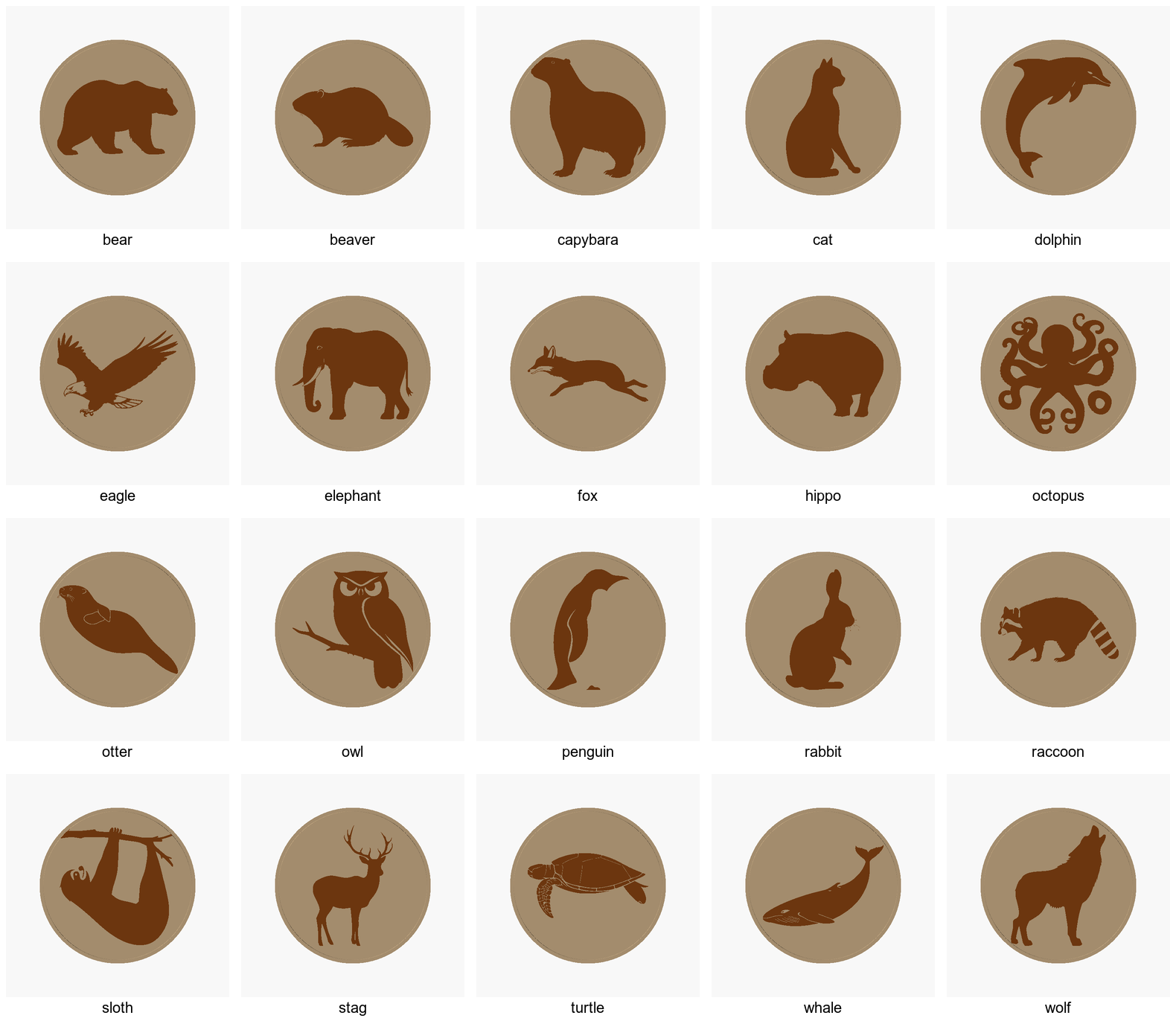 Animal Silhouette Coasters — 20 Species (90mm)