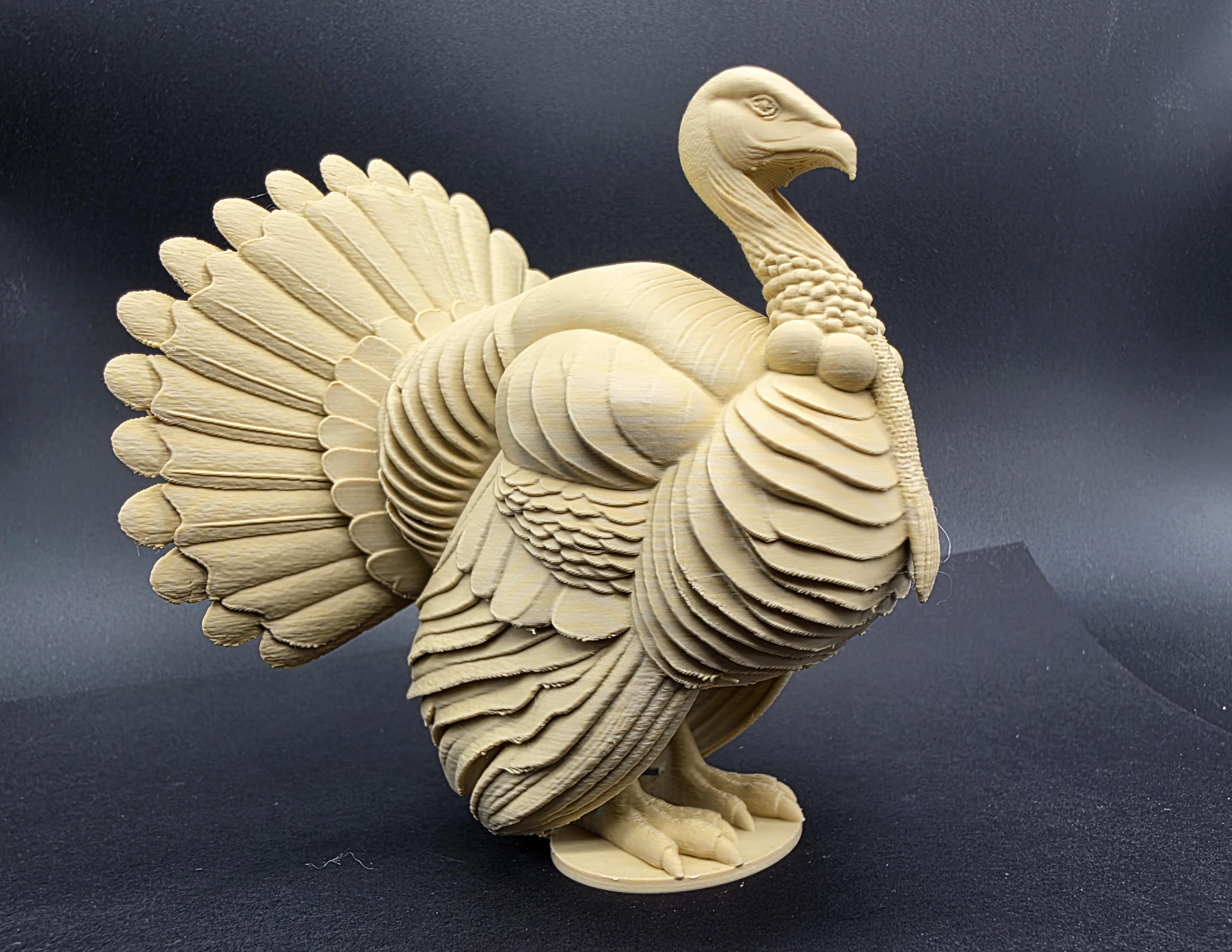 High-Detail Turkey