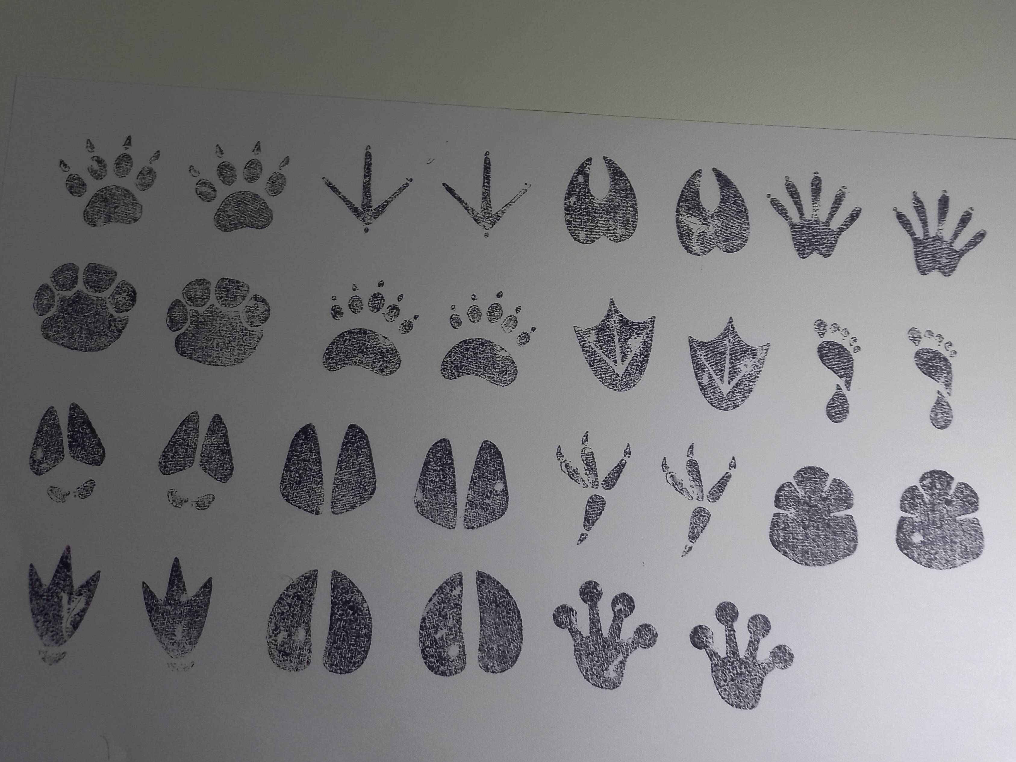 Miniatura 2 do modelo 3D Footprint Stamp Inserts