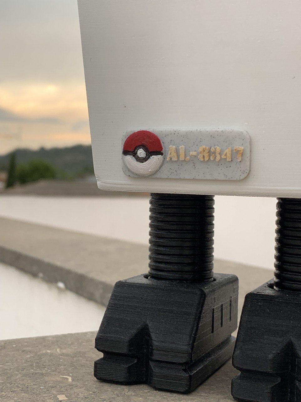 Nametag para mi Gonk Pokemonizado