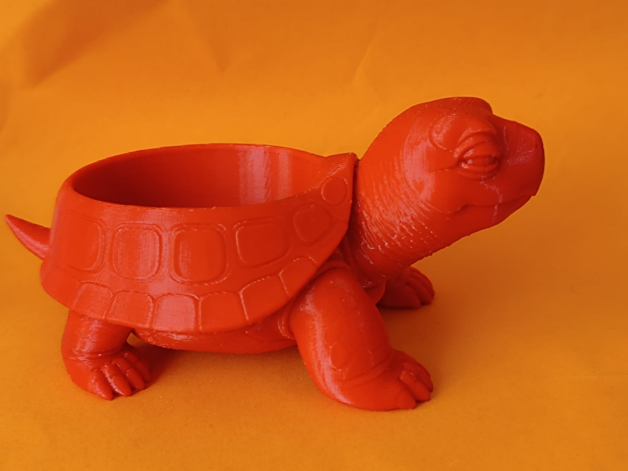 Turtle Catch-All Bowl & Soap Holder