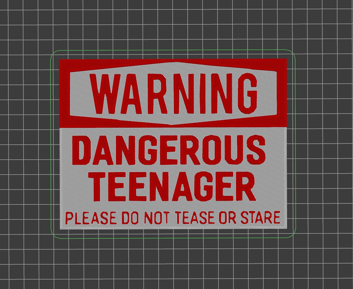 Dangerous teen warning plate / magnet