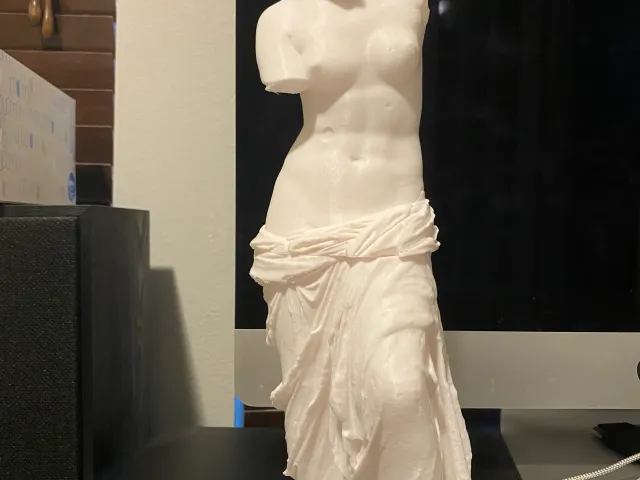 Venus de Milo two piece