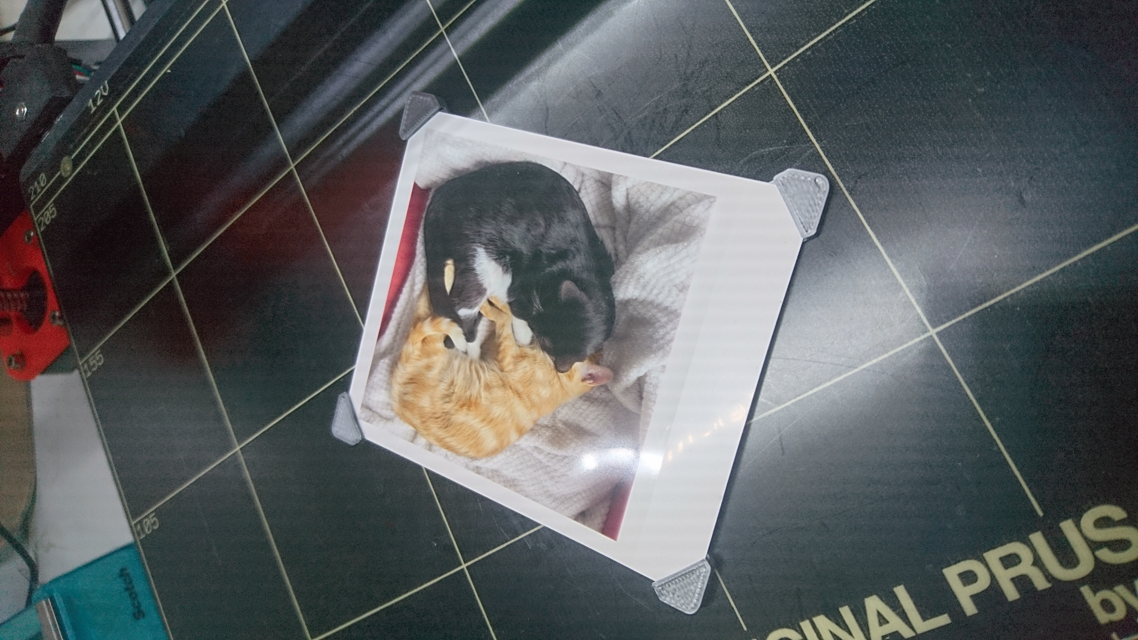 Canon Selphy QX10 magnet frame