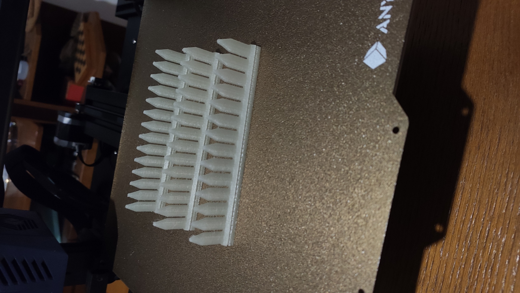 Bait Comb for Fishing (Surfcasting)
