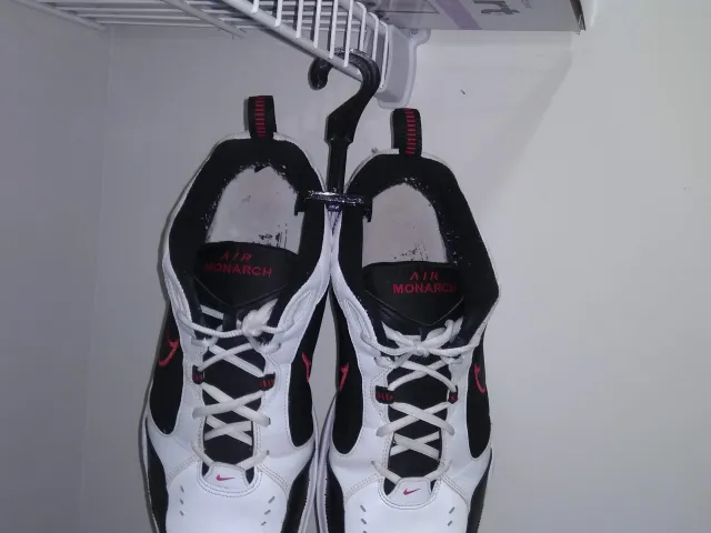 Sneaker Shoe Hanger