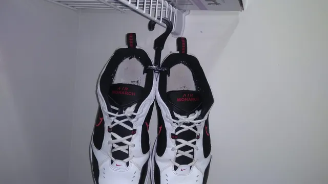 Sneaker Shoe Hanger