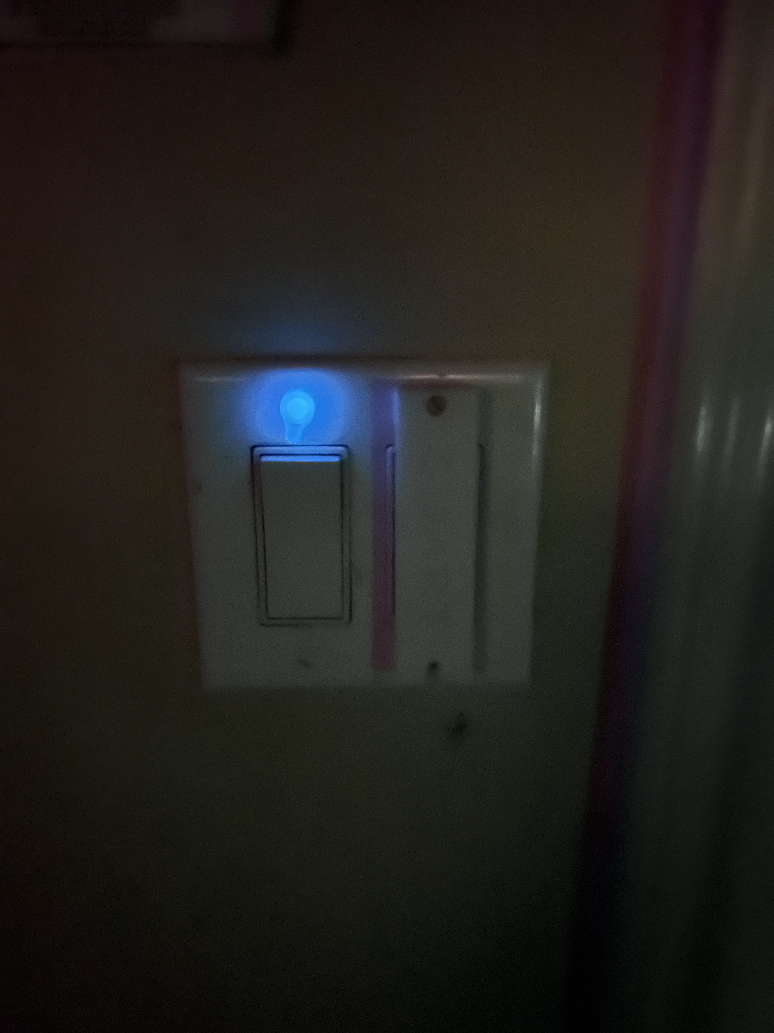 Light and Fan Switch Icons