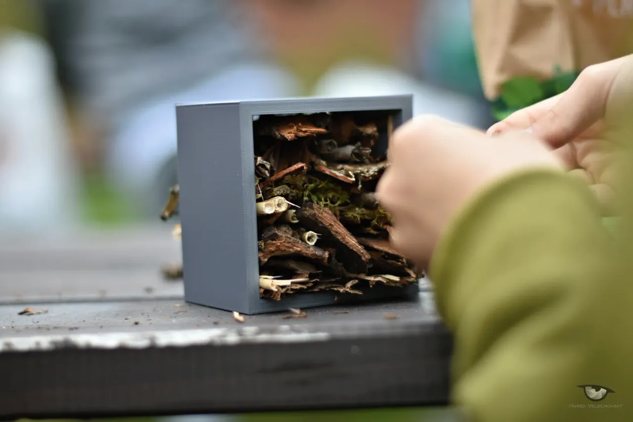 Insect house by Marek Velechovský | Education | Printables.com