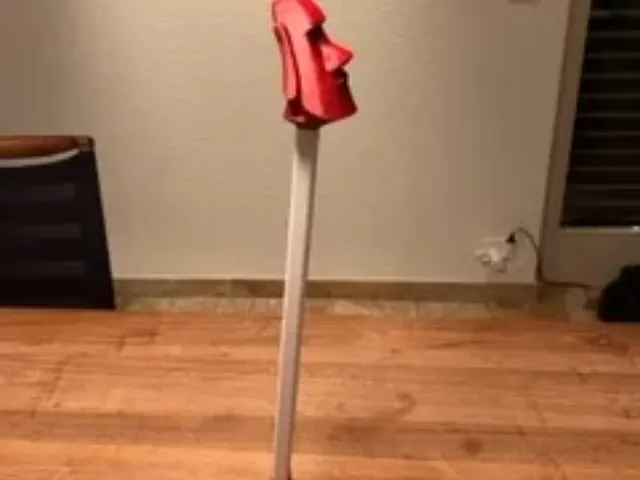 Rücken-Kratzer / back scratcher