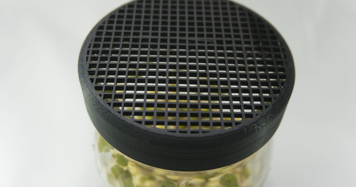 Sprout Growing Mason Jar Strainer by Souzoumaker Download free STL