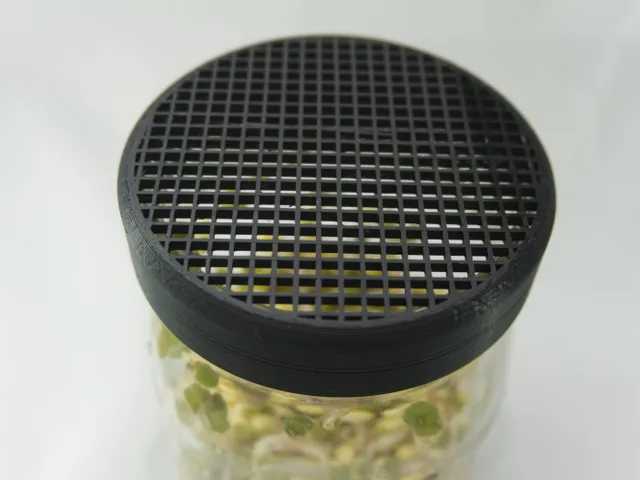 Sprout Growing Mason Jar Strainer
