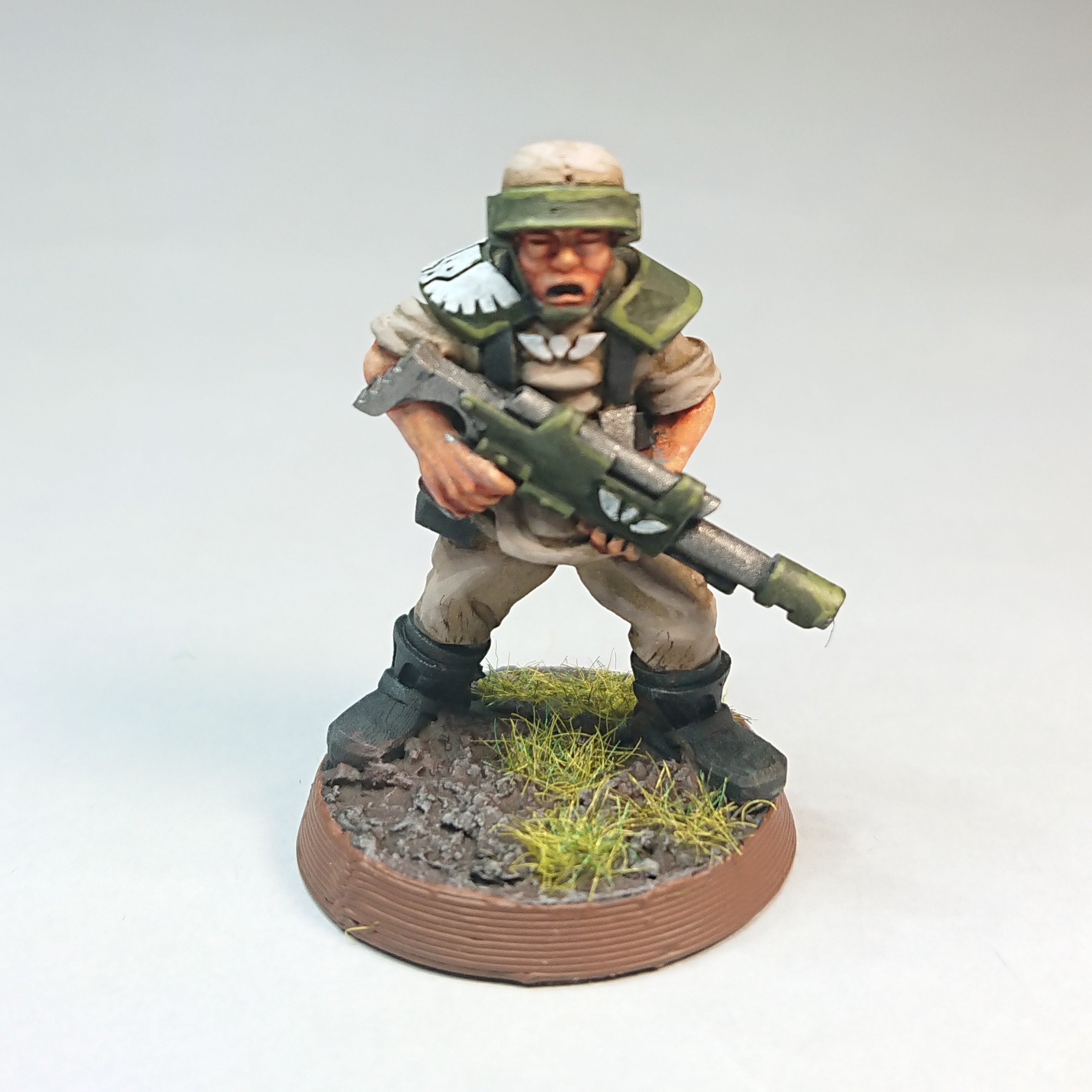 Arcadian rifle D