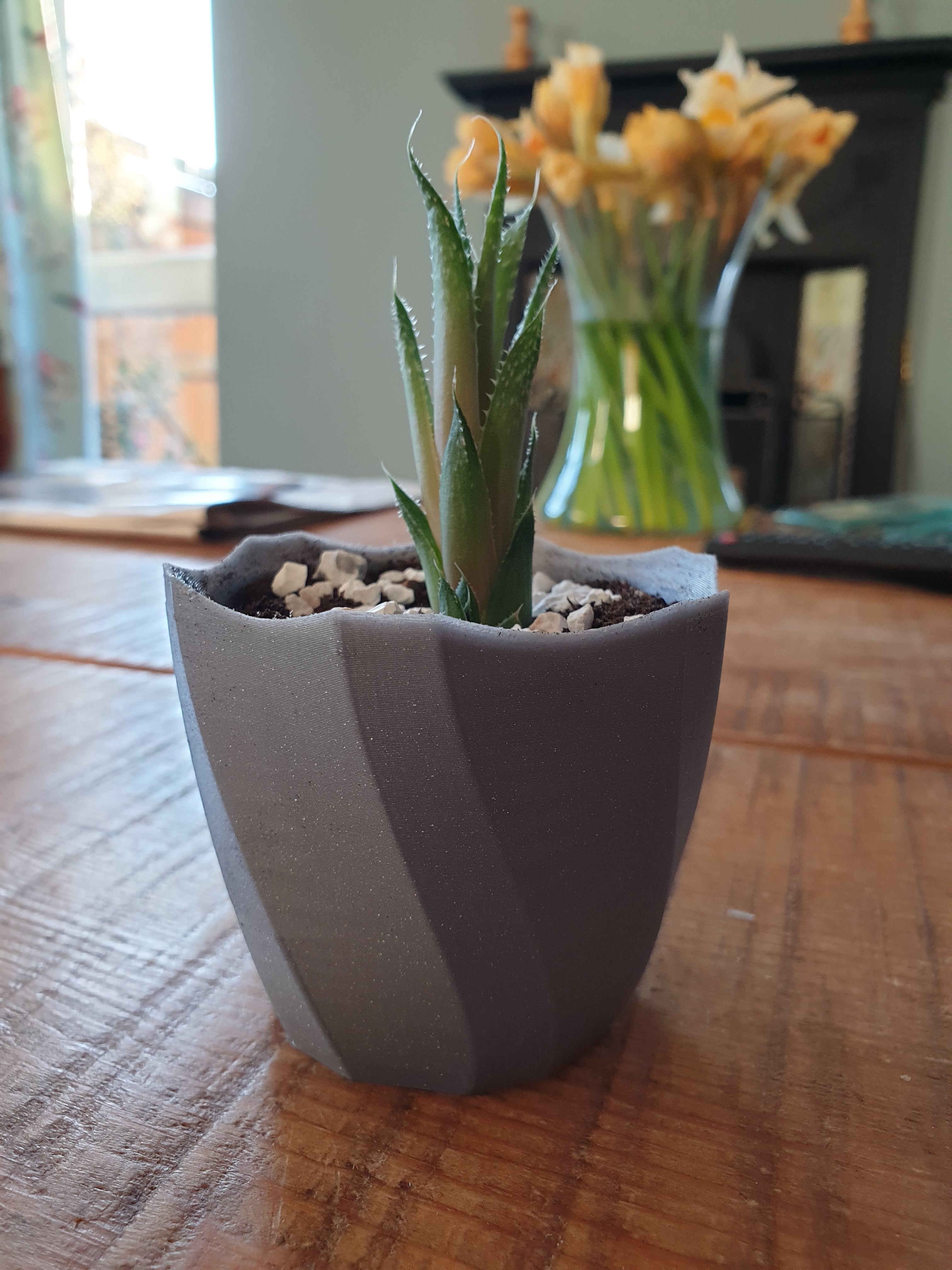 Miniatura 3 do modelo 3D Small Plant Pot