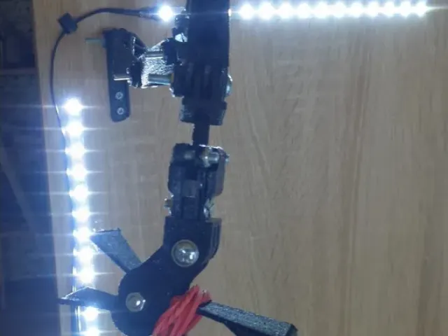 Arm