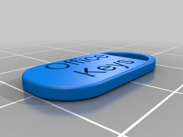 Keychain tag (Home & Office)