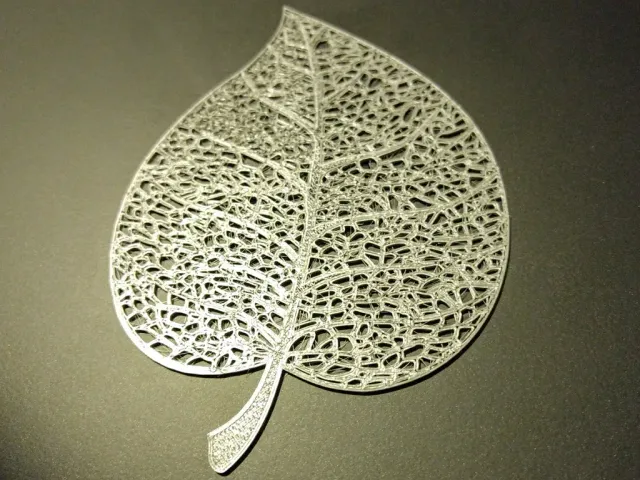 Leaf skeleton