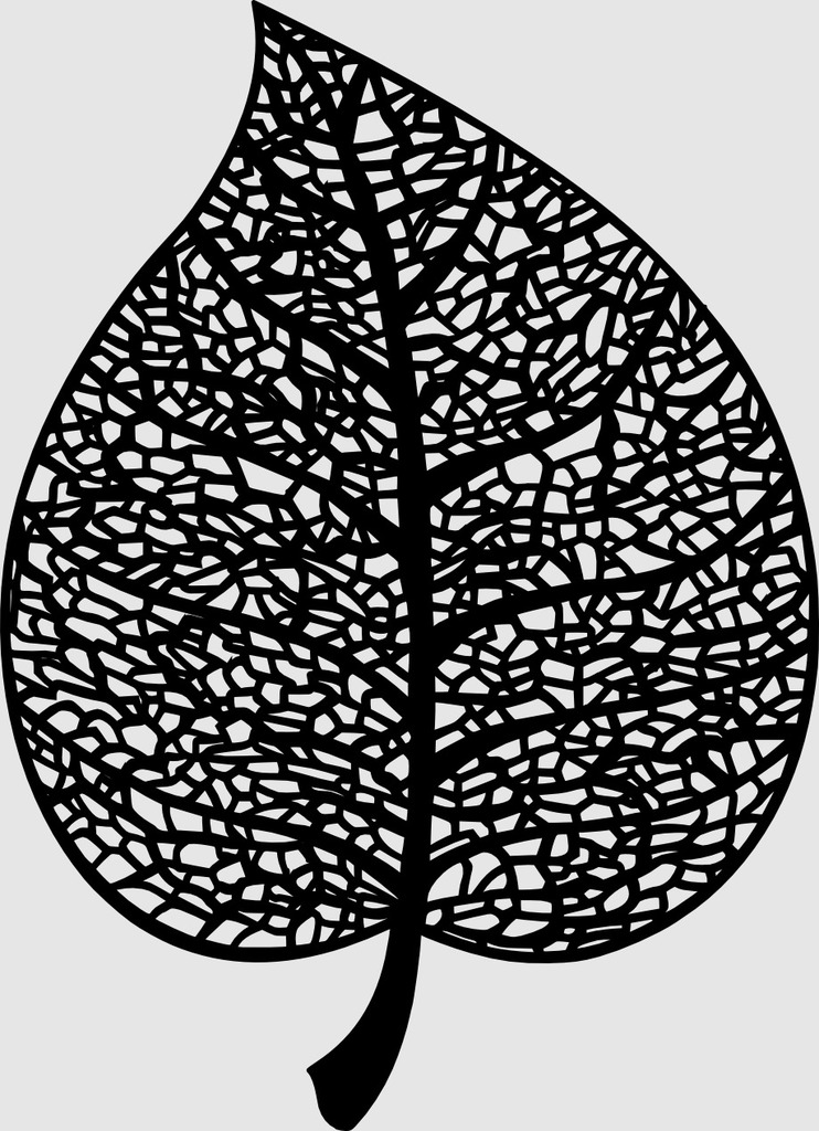 Miniatura 4 do modelo 3D Leaf skeleton