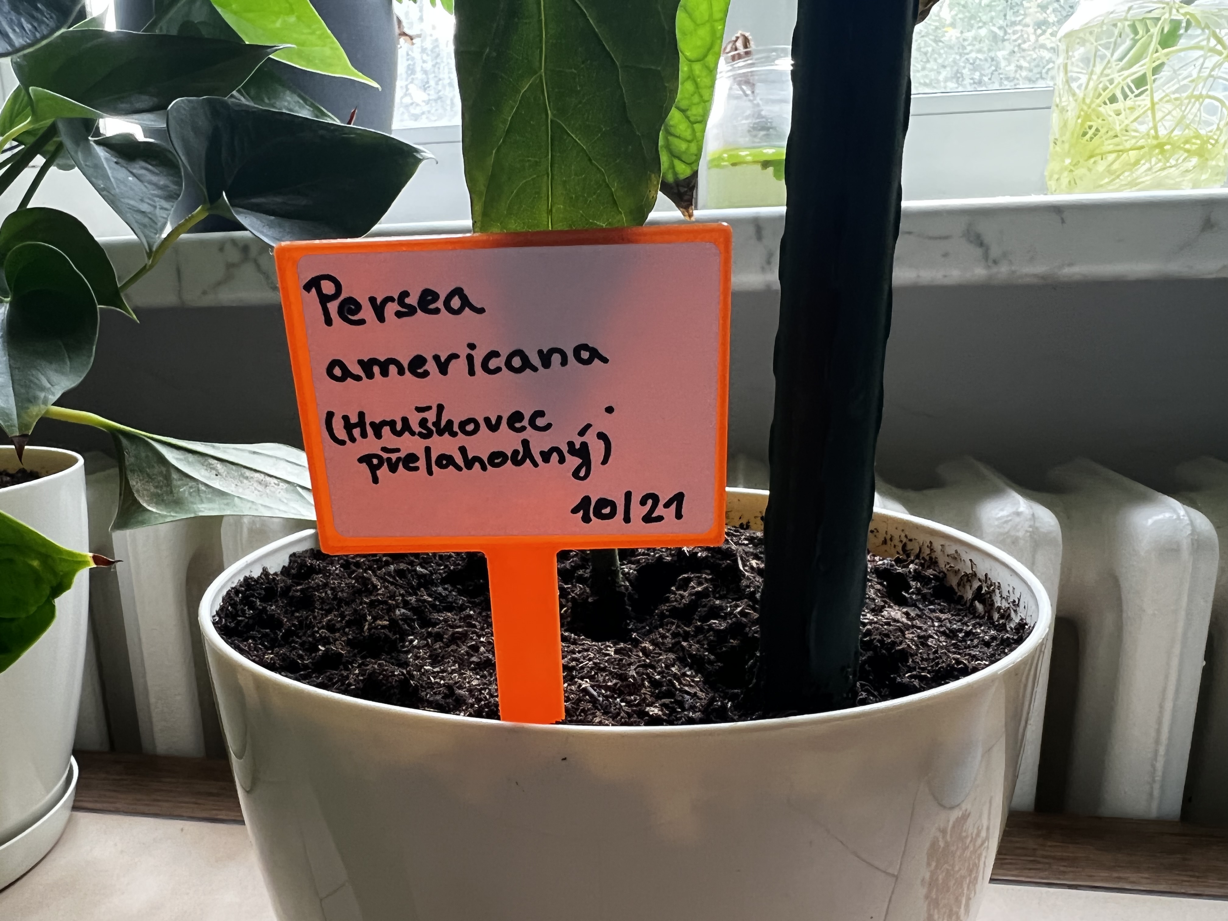 Simple plant label holder by Judzi Download free STL model