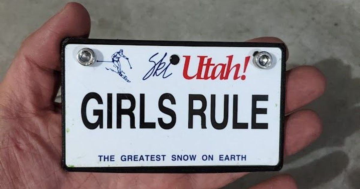 Gotrax GXL v2 electric scooter license plate holder by jonafriendj