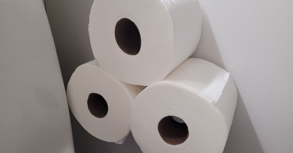 Slim Toilet Paper Holder by Spatula Download free STL model