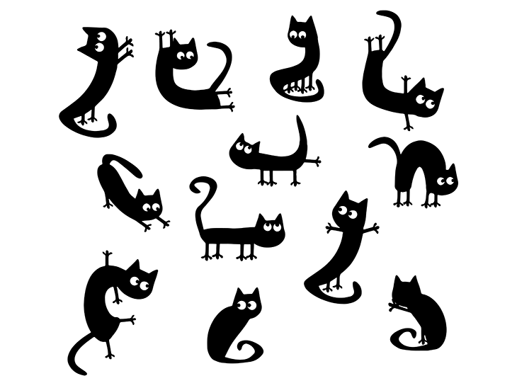 Cat set