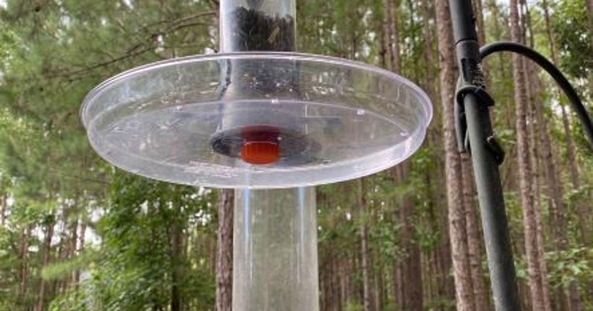 Bolt to attach tray to Droll Yankee Bird Feeder. 1/2" NPT. by NC10